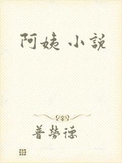 阿姨 小说