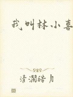 我叫林小喜17