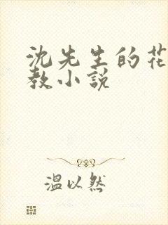 沈先生的花式管教小说封面