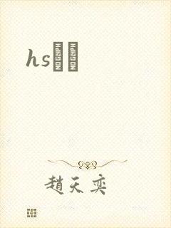 hsС˵封面