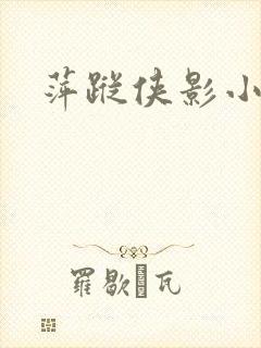 萍踪侠影小说