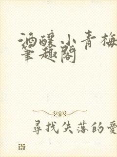 酒酿小青梅po笔趣阁