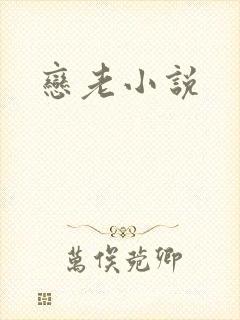 恋老小说