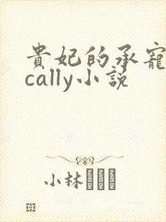 贵妃的承宠日常cally小说封面