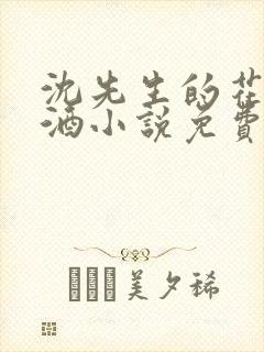 沈先生的花式调酒小说免费阅读