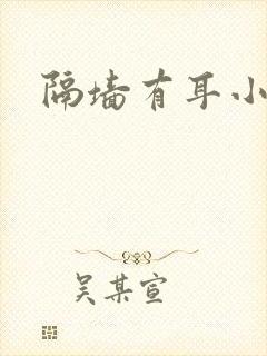 隔墙有耳小说