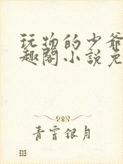 玩物的少爷们笔趣阁小说免费阅读