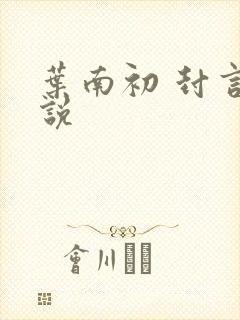 叶南初 封言小说