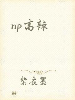 np高辣