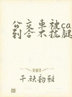 公交车被cao到合不拢腿视频