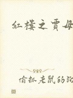 红楼之贾母