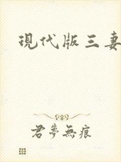 现代版三妻四妾