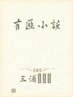 有匪小说