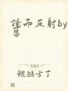 镜面反射by九葛