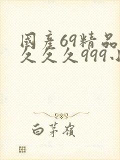 国产69精品久久久久999小说