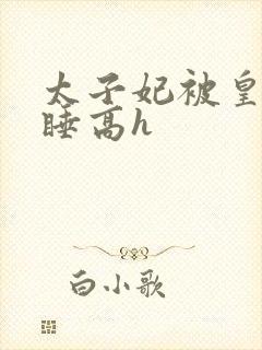 太子妃被皇上强睡高h封面