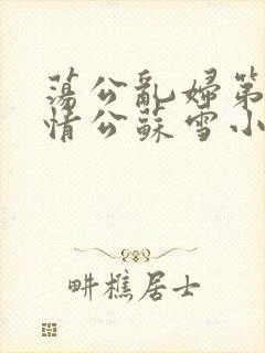 荡公乱妇第1章情公苏雪小说