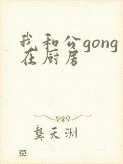 我和公gong在厨房封面