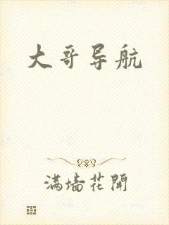 大哥导航