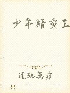 少年精灵王