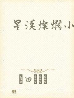 星汉灿烂小说