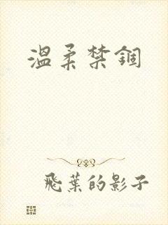 温柔禁锢