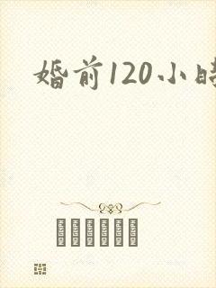 婚前120小时封面