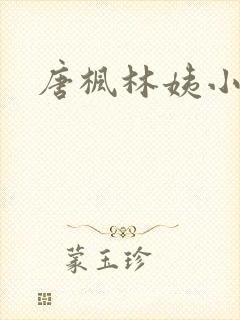 唐枫林姨小说