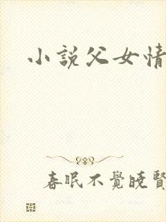小说父女情深封面