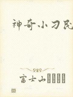 神奇小刁民
