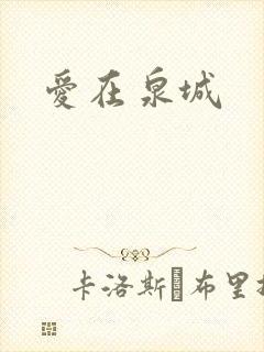 爱在泉城封面