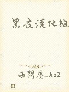 黑夜汉化组
