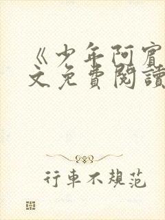 《少年阿宾》全文免费阅读