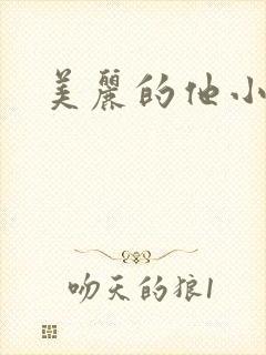 美丽的他小说
