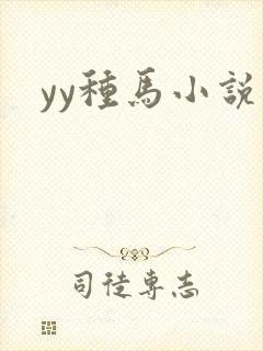 yy种马小说封面