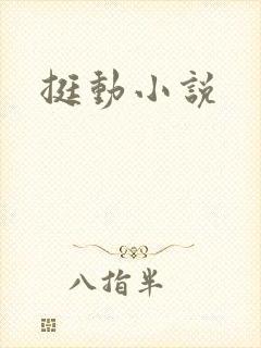 挺动小说封面