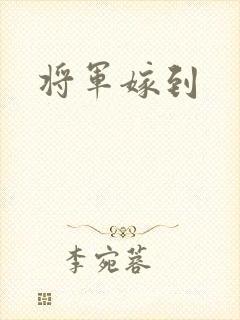 将军嫁到