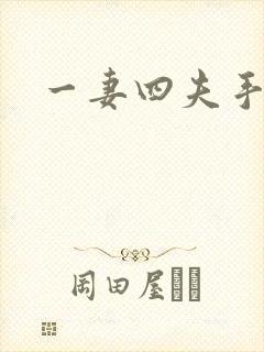 一妻四夫手记