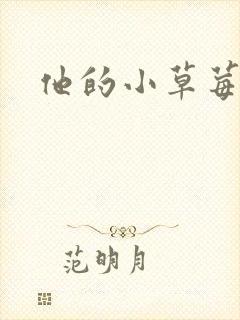 他的小草莓封面