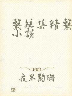系统集精系统 小说