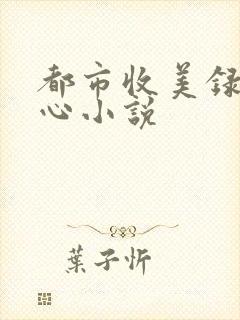 都市收美录宁素心小说