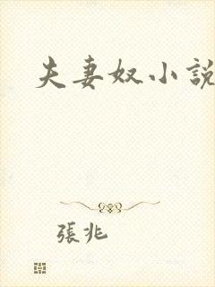 夫妻奴小说封面