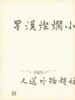 星汉灿烂小说