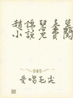 赵锦儿秦慕修的小说免费阅读全文