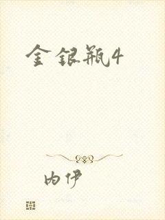 金银瓶4封面