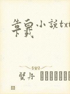 告白小说txt下载