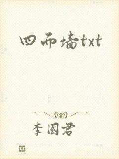 四面墙txt封面