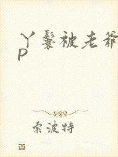 丫鬟被老爷玩NP封面