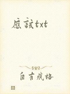 应该txt封面