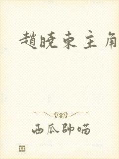 赵晓东主角小说